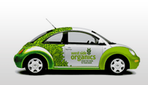 vehicle graphics